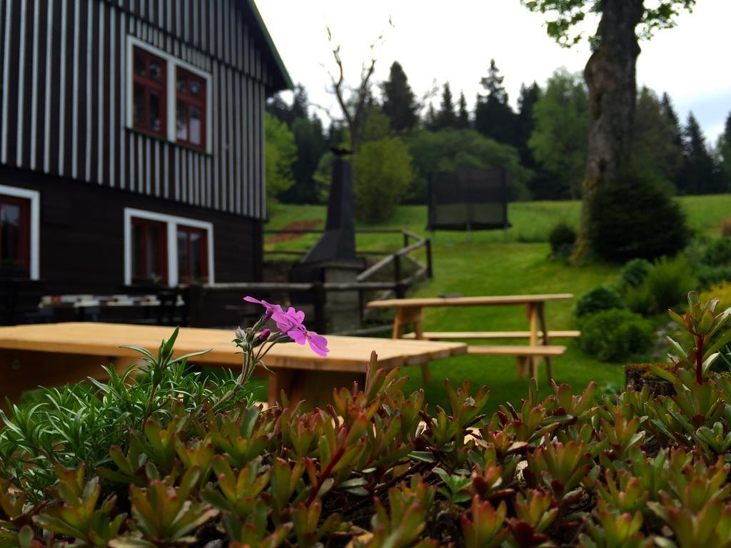 Pension Lucerna Spindleruv Mlyn Exterior photo